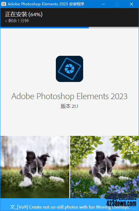 Adobe Photoshop Elements 2023_v21.1.0 | 423Down