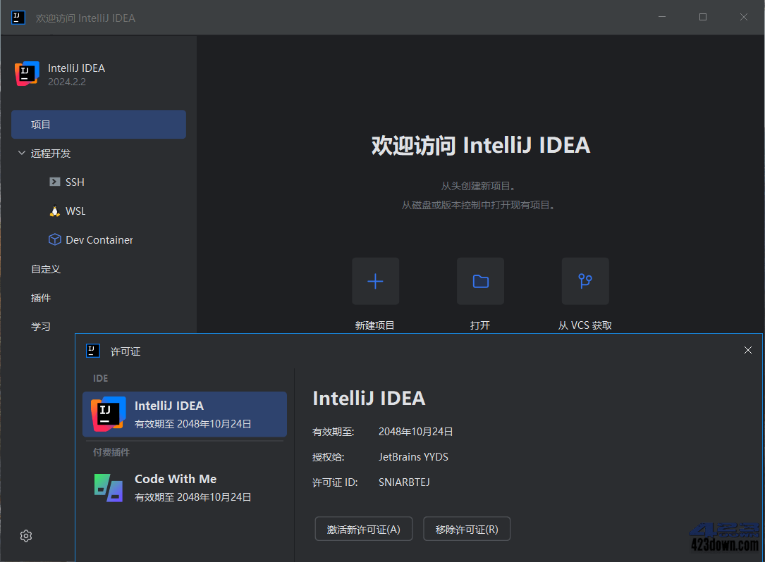 idea2024中文激活版IDEA 2024.3.1.0 正式版